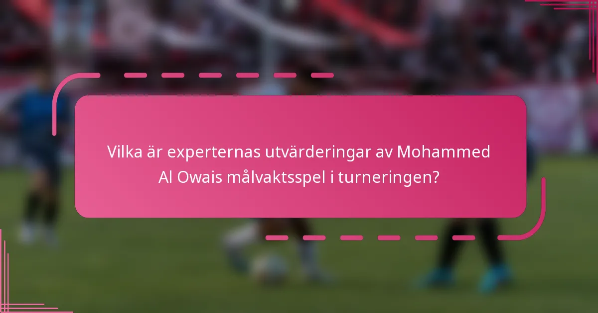 Vilka är experternas utvärderingar av Mohammed Al Owais målvaktsspel i turneringen?