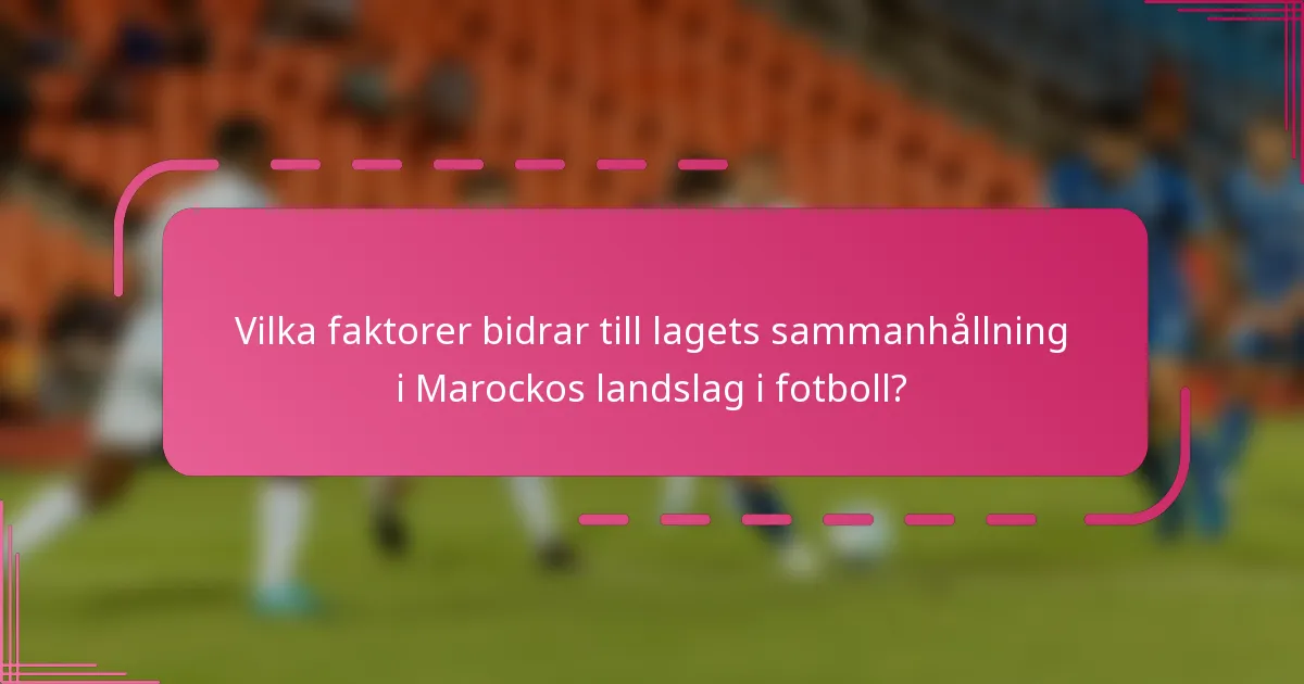 Vilka faktorer bidrar till lagets sammanhållning i Marockos landslag i fotboll?